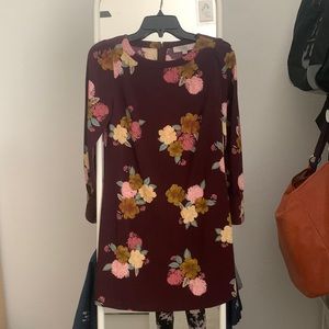 Long-sleeved mini dress from the Loft